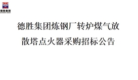 德勝集團煉鋼廠轉爐煤氣放散塔點火器招標項目